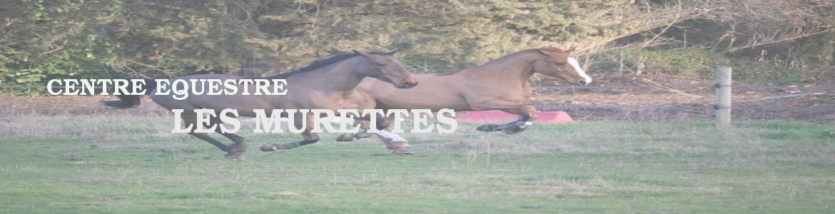 CENTRE EQUESTRE
